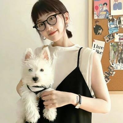 共犯效应 在线播放海报
