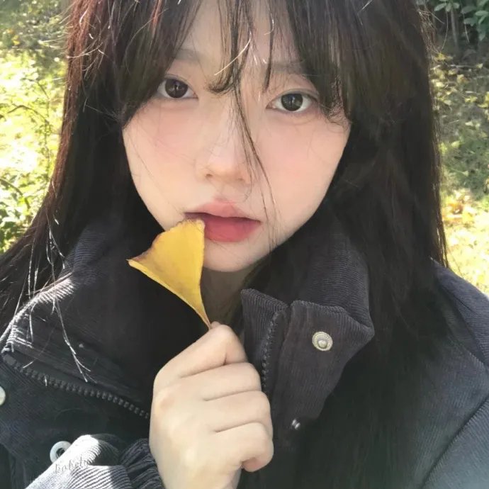 不得不爱第二季 在线播放海报